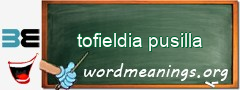 WordMeaning blackboard for tofieldia pusilla